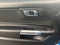 2023 Ford Mustang EcoBoost
