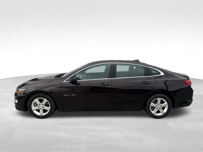 2021 Chevrolet Malibu LS 1LS