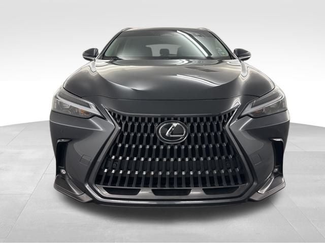 2025 Lexus NX 250 Premium
