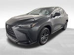 2025 Lexus NX 250 Premium