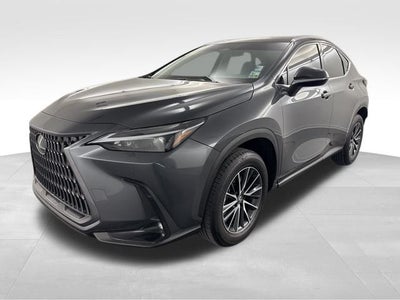 2025 Lexus NX 250 Premium